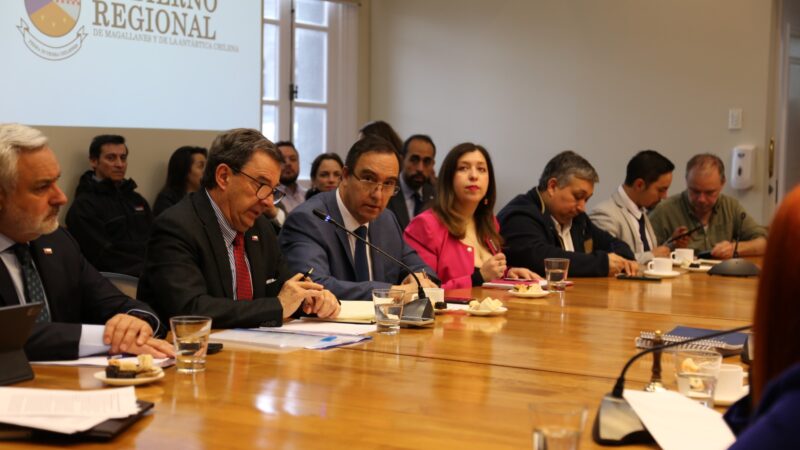 Consejeros Regionales exponen en Comisión de Zonas Extremas de la Cámara de Diputados las demandas estratégicas para Magallanes.
