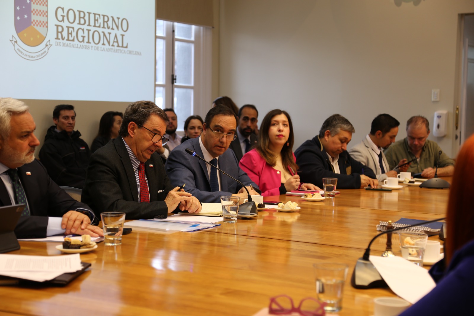 Consejeros Regionales exponen en Comisión de Zonas Extremas de la Cámara de Diputados las demandas estratégicas para Magallanes.
