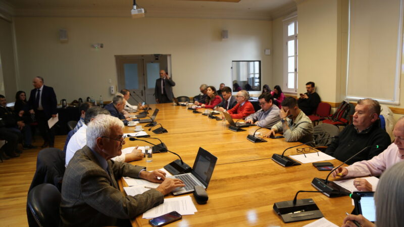 El deporte magallánico y la preparación del Cuerpo de Bomberos fueron los temas centrales de la reciente sesión del Consejo Regional.