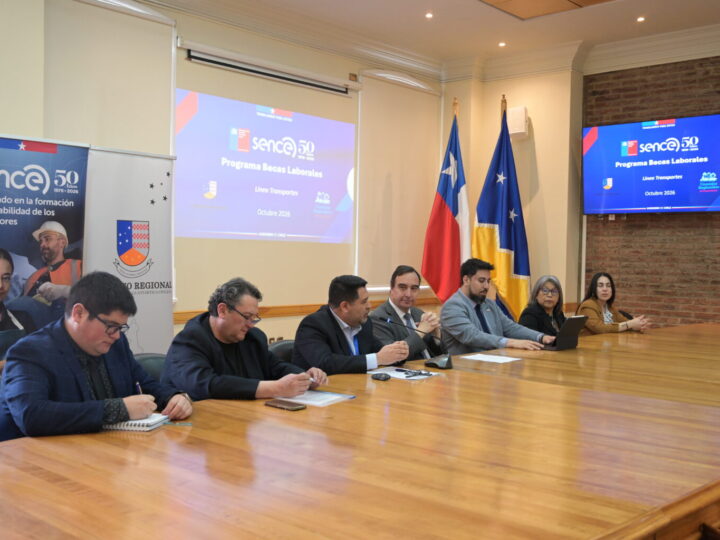Gobierno Regional de Magallanes y SENCE presentan becas para cursos de conducción: son cinco tipos de licencia.