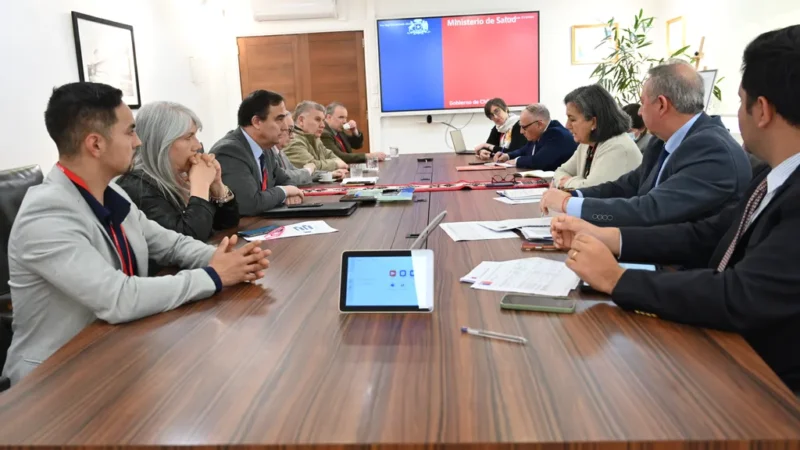 Gobernador Regional Jorge Flies y Consejeros Regionales gestionan ante el Ministerio de Salud inversiones para Magallanes.