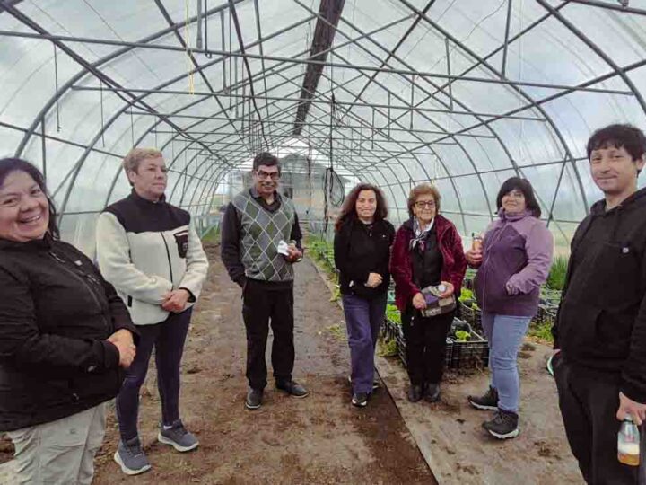 Cooperativa fueguina recoge experiencia de sus pares de Puerto Natales para fortalecer sus primeros pasos 