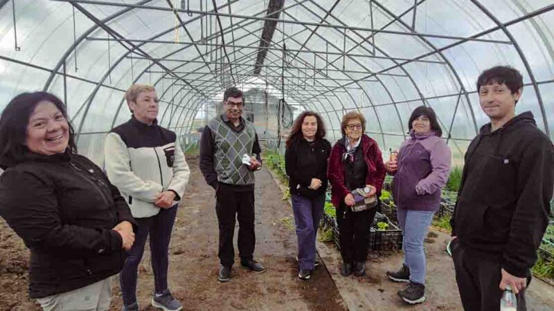 Cooperativa fueguina recoge experiencia de sus pares de Puerto Natales para fortalecer sus primeros pasos 