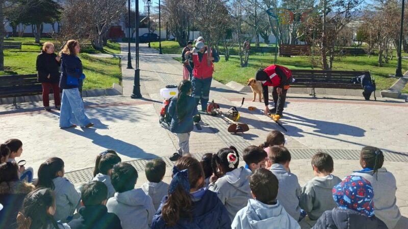 Pequeños exploradores se toman la Plaza de Armas de Porvenir para descubrir los secretos del cuidado de las áreas verdes