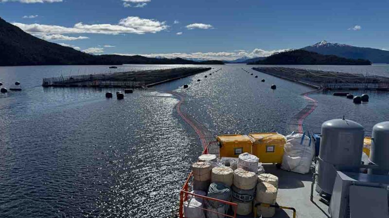 Sernapesca informó activación de planes de contingencia por floración algal nociva en la región de Magallanes