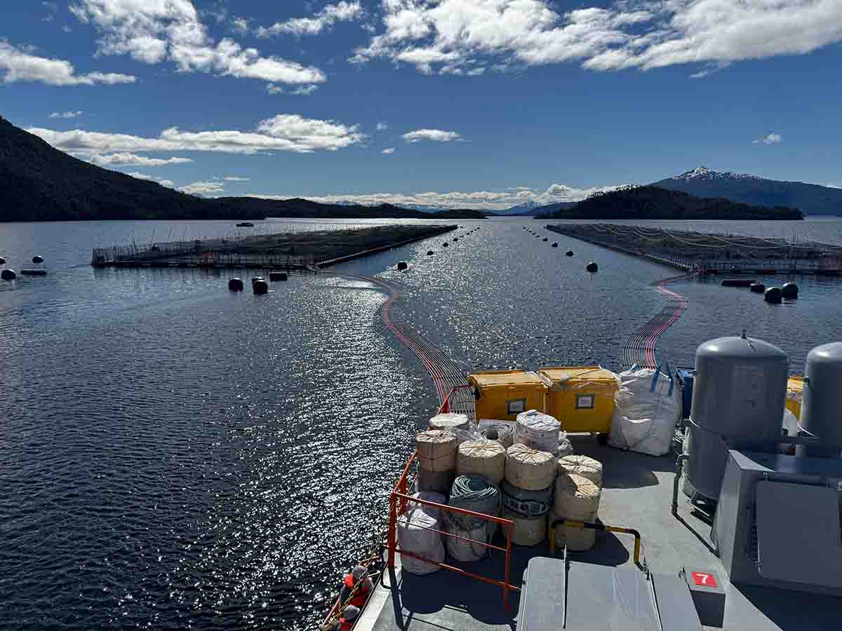 Sernapesca informó activación de planes de contingencia por floración algal nociva en la región de Magallanes