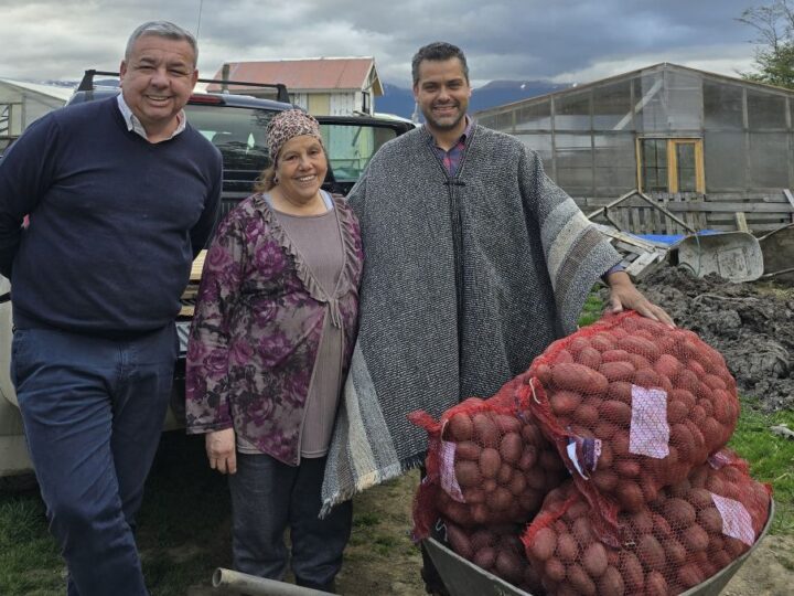 Cabo de Hornos fortalece la agricultura local con entrega de semillas certificadas de papa.