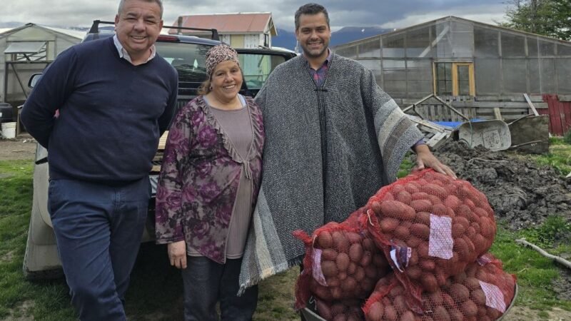 Cabo de Hornos fortalece la agricultura local con entrega de semillas certificadas de papa.