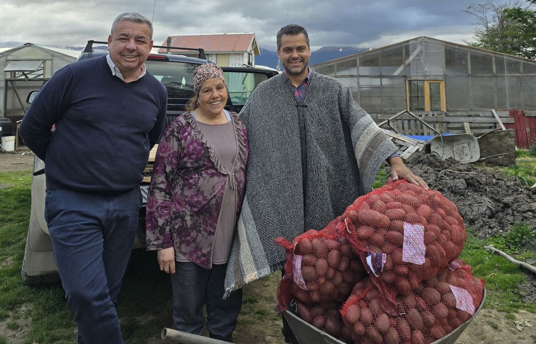 Cabo de Hornos fortalece la agricultura local con entrega de semillas certificadas de papa.