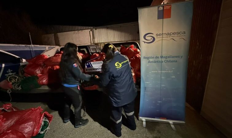 Descubren 99 sacos con redes centolleras a bordo de embarcación recalada en Punta Arenas.