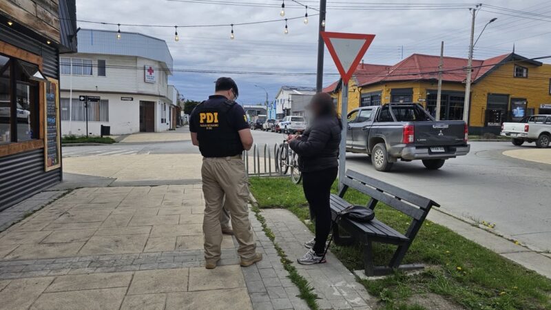 PDI fiscalizó a 98 extranjeros en Magallanes: 11 fueron denunciados y uno será expulsado del país