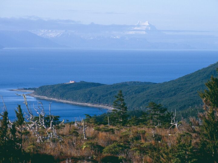 Ministerio del Medio Ambiente inicia consulta indígena para crear Parque Nacional Cabo Froward.