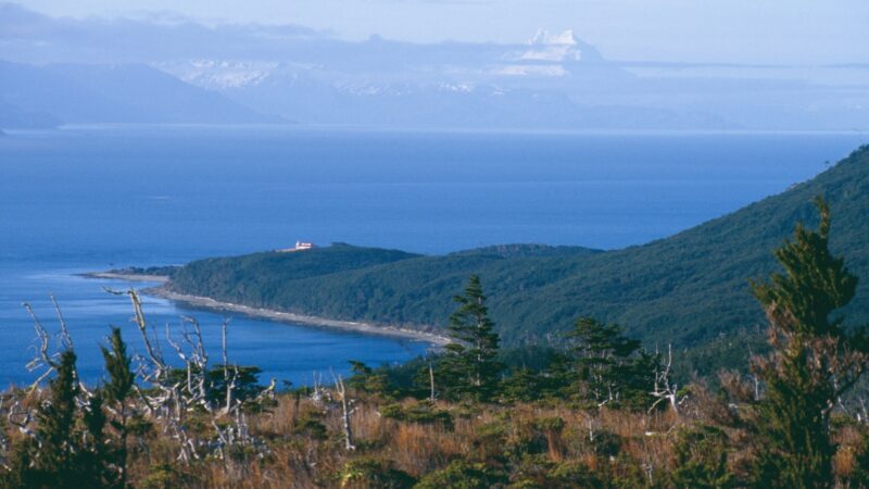 Ministerio del Medio Ambiente inicia consulta indígena para crear Parque Nacional Cabo Froward.