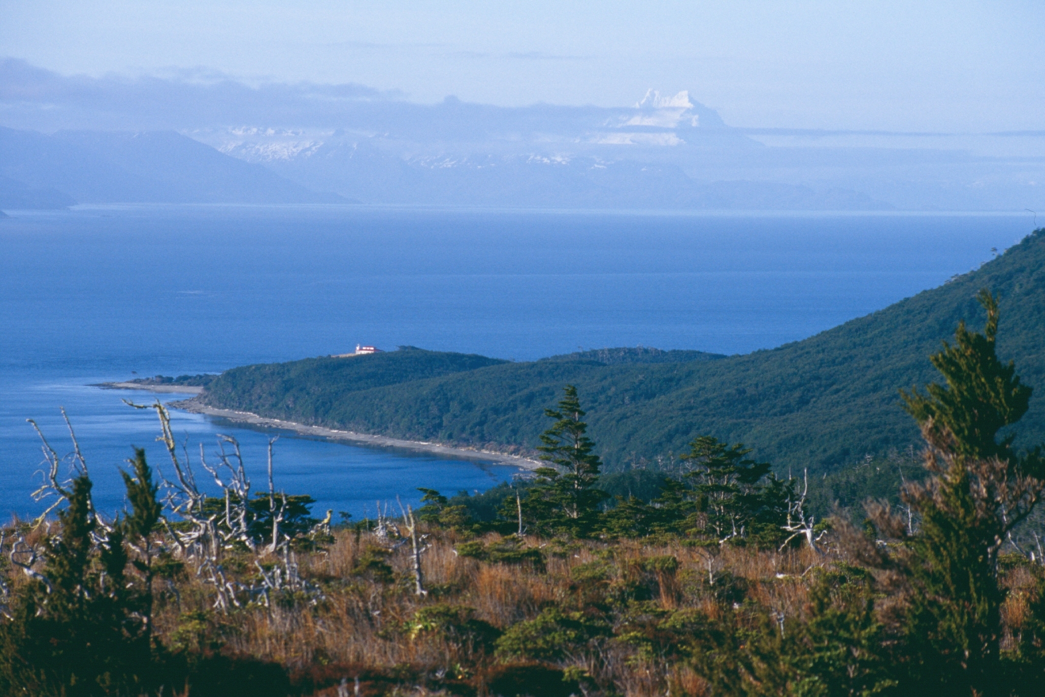 Ministerio del Medio Ambiente inicia consulta indígena para crear Parque Nacional Cabo Froward.