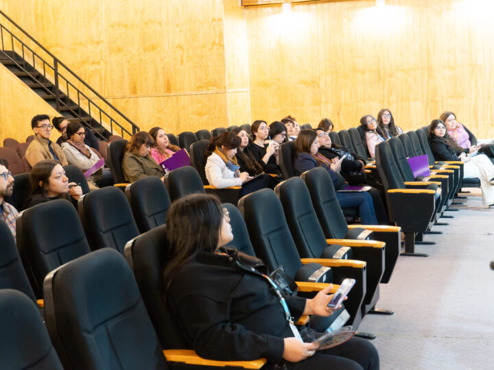 Conversatorio en Puerto Natales fortalece la articulación de programas de protección de la infancia y adolescencia en Última Esperanza.