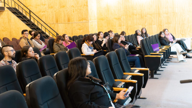 Conversatorio en Puerto Natales fortalece la articulación de programas de protección de la infancia y adolescencia en Última Esperanza.