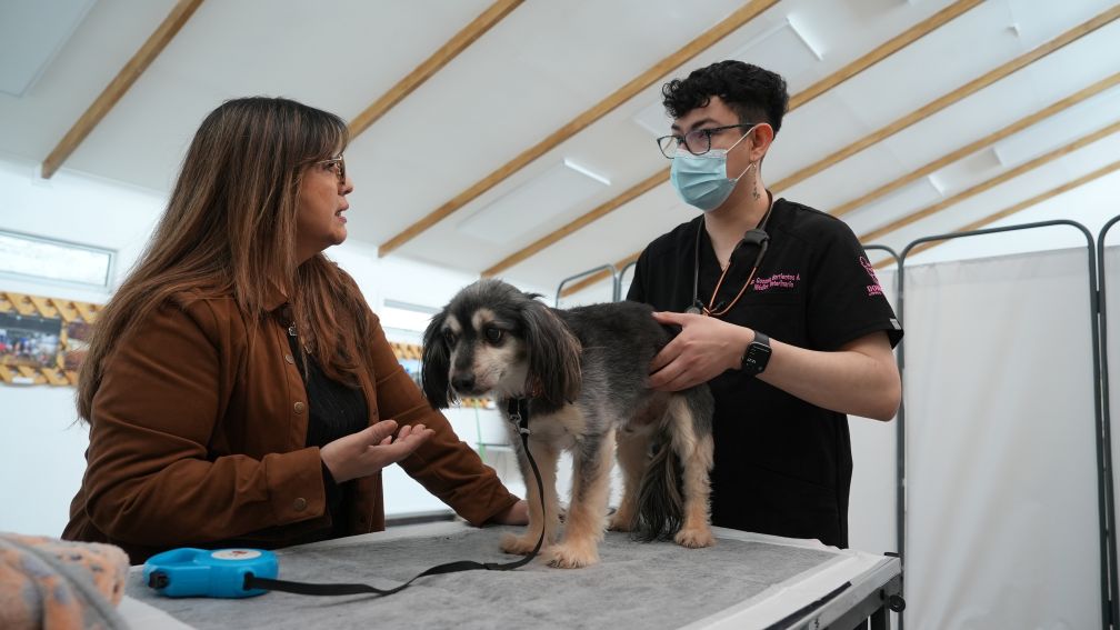 Municipalidad de Primavera da inicio a las rondas de Tenencia Responsable de Mascotas y Animales de Compañía.