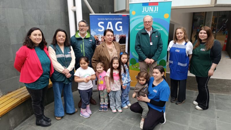 Niñas y niños de la Junji Magallanes son beneficiados con donación de plantas nativas del SAG.