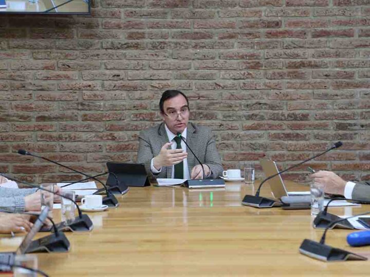 Consejo Regional aprueba más de $16.833 millones para transformar calle Capitán Juan Guillermos