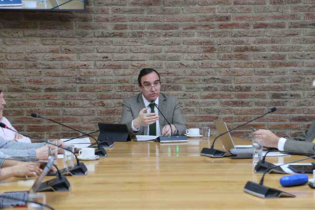 Consejo Regional aprueba más de $16.833 millones para transformar calle Capitán Juan Guillermos