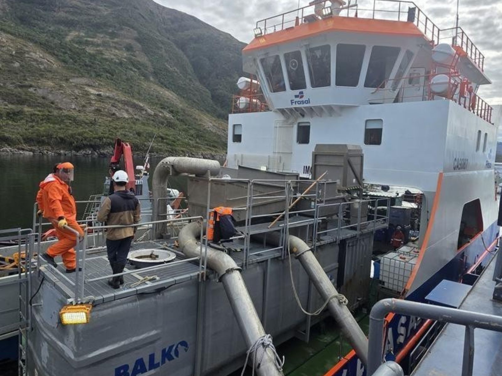 SERNAPESCA continúa fiscalizando retiro de mortalidad de peces en Magallanes.