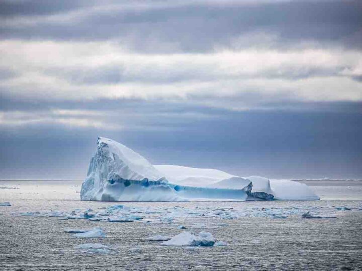 Súmate a la celebración del Continente Blanco: ¡inscribe tu actividad en el Mes de la Antártica 2026!