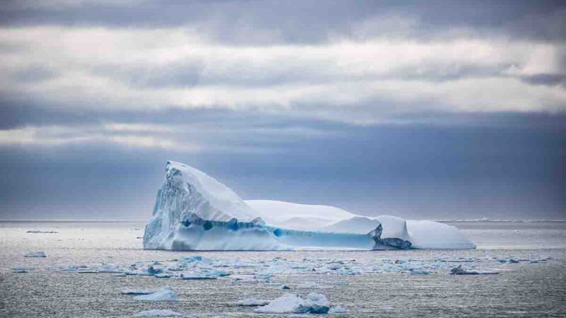 Súmate a la celebración del Continente Blanco: ¡inscribe tu actividad en el Mes de la Antártica 2026!