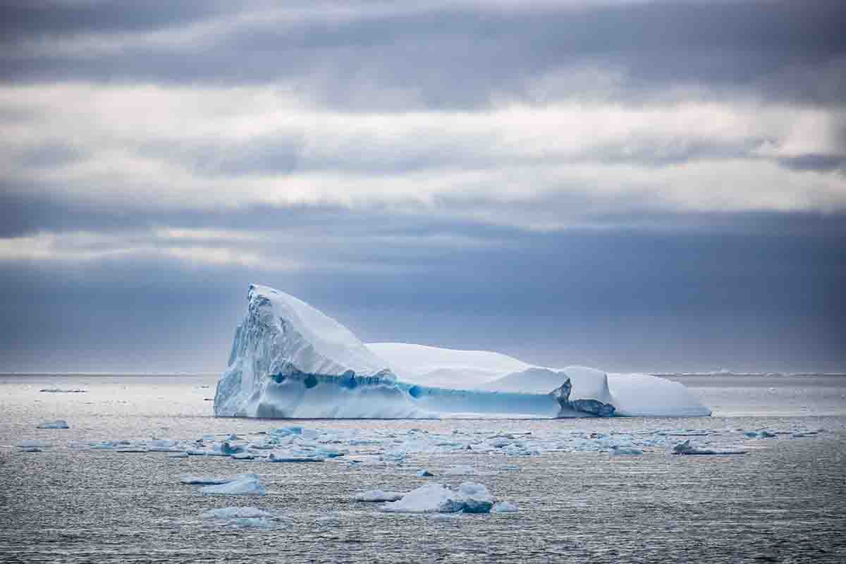 Súmate a la celebración del Continente Blanco: ¡inscribe tu actividad en el Mes de la Antártica 2026!