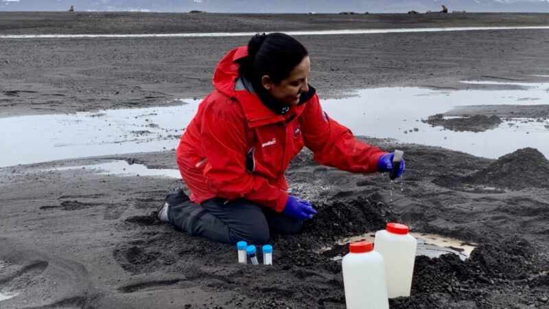 Microorganismos regeneran la vida tras la erupción volcánica en isla Decepción