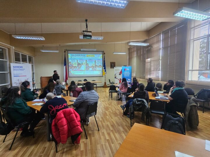 Concluye con éxito ciclo de acompañamiento a profesores sobre Portafolio Docente en Punta Arenas y Puerto Natales.
