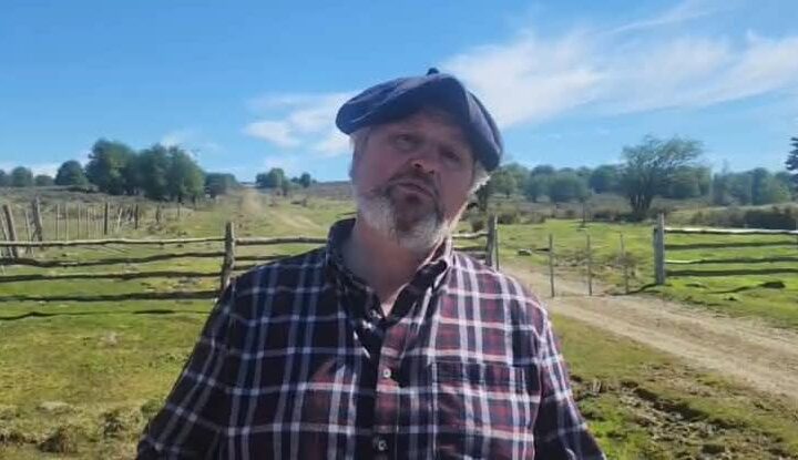 Perros atacan a vacas y matan terneros y vaquillas a productor de leche y quesos en Punta Arenas.