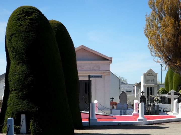 Cementerio municipal de Punta Arenas tiene todo listo para recibir a cerca de 40 mil personas por el Día de Todos los Santos.
