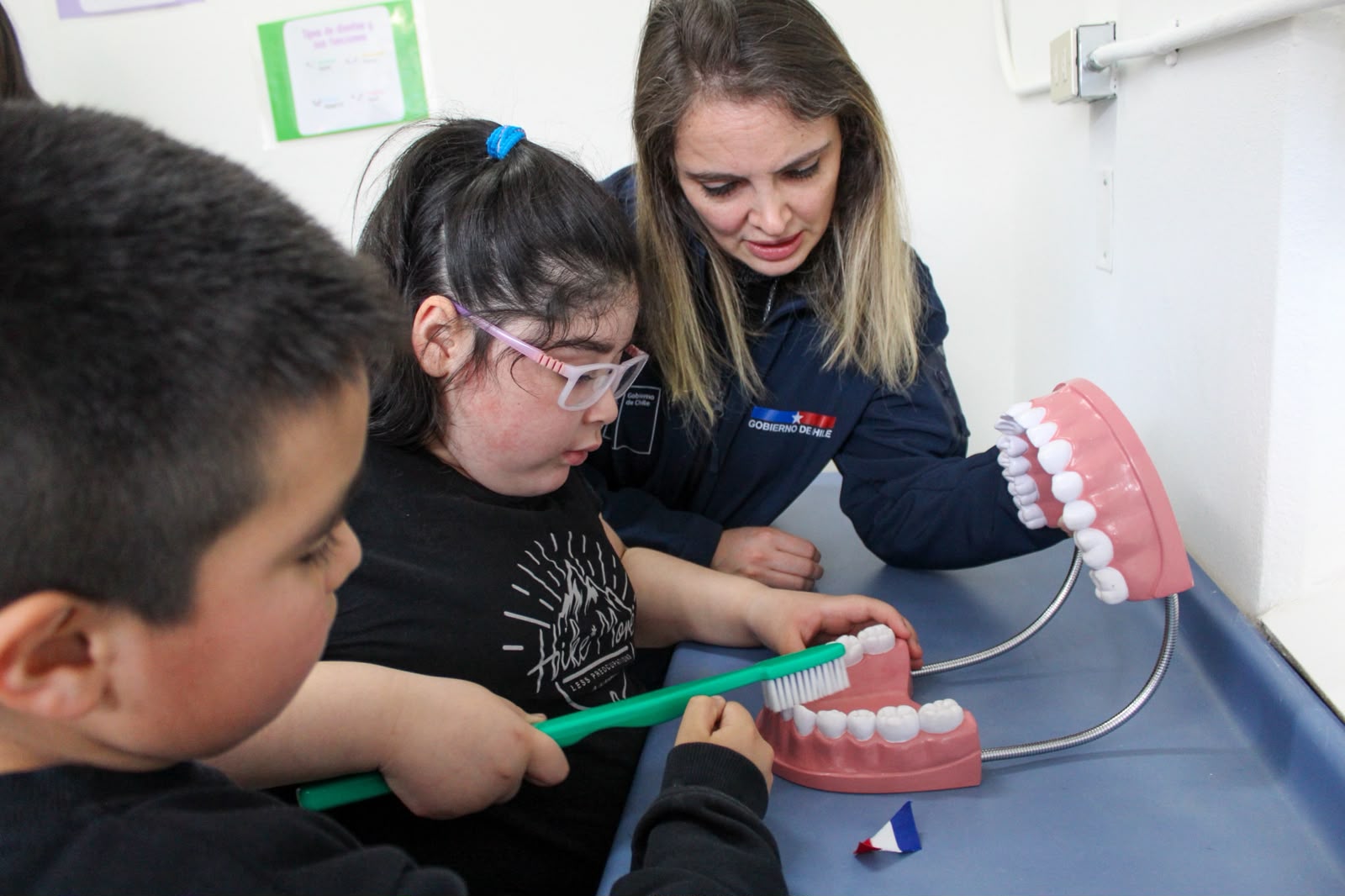Restablecen box dental de Junaeb en Liceo Donald Mc Intyre Griffiths de Puerto Williams.