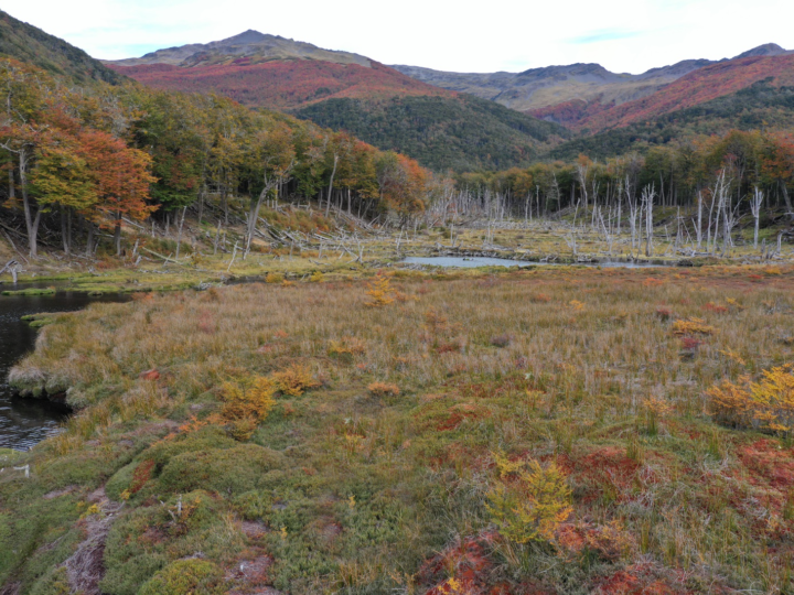 Karukinka abre una nueva temporada de visitas en el sur de Tierra del Fuego.