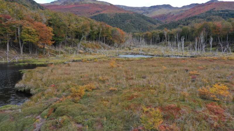 Karukinka abre una nueva temporada de visitas en el sur de Tierra del Fuego.