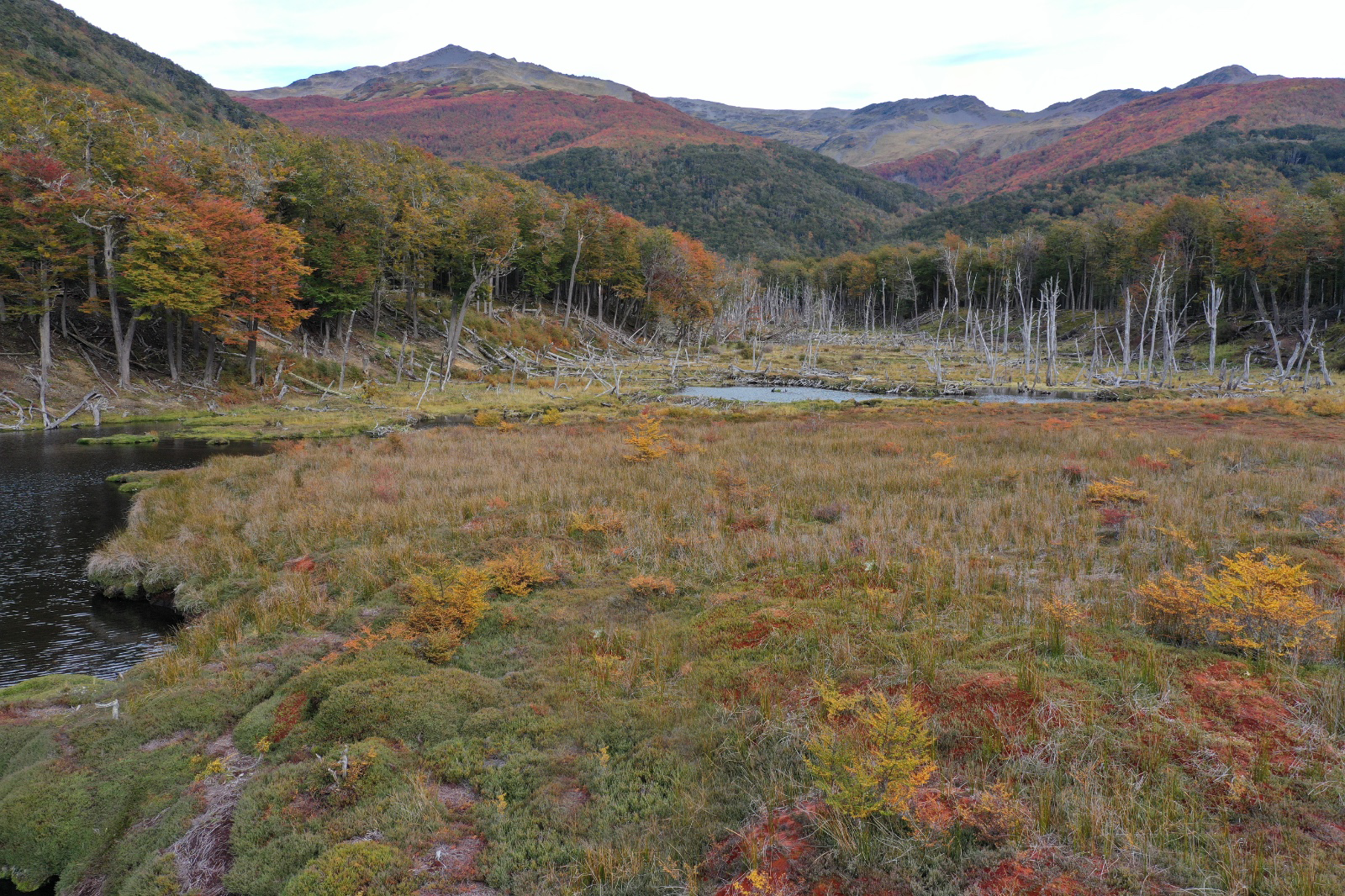 Karukinka abre una nueva temporada de visitas en el sur de Tierra del Fuego.