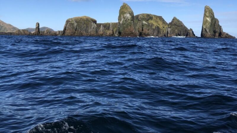 WhaleSound anuncia expedición histórica a Isla Noir tras las huellas de De Agostini y la avifauna austral.