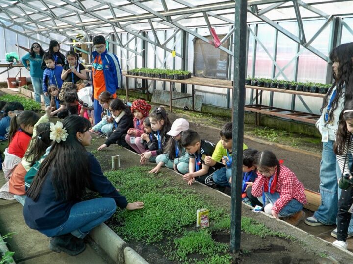 Club de Niños visitó el Vivero Municipal de Punta Arenas para aprender sobre el cuidado de las plantas y el medioambiente.