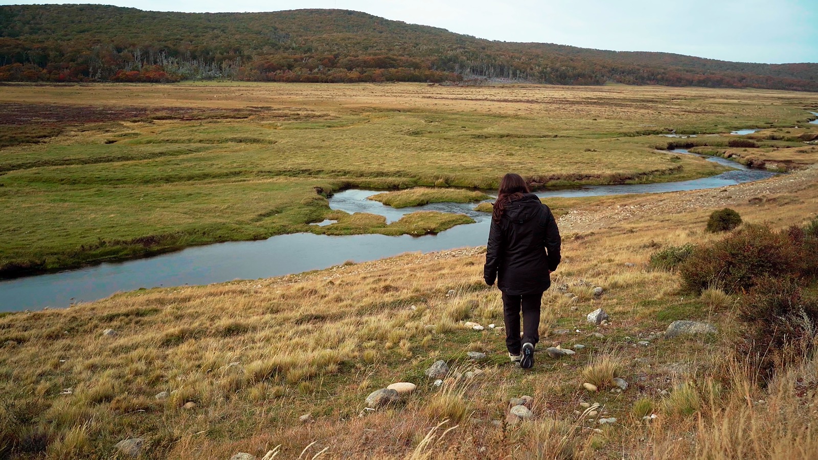 Memoria e identidad Selk’nam en Tierra del Fuego: documental «Vuelvo donde nunca estuve» se estrena en Magallanes.