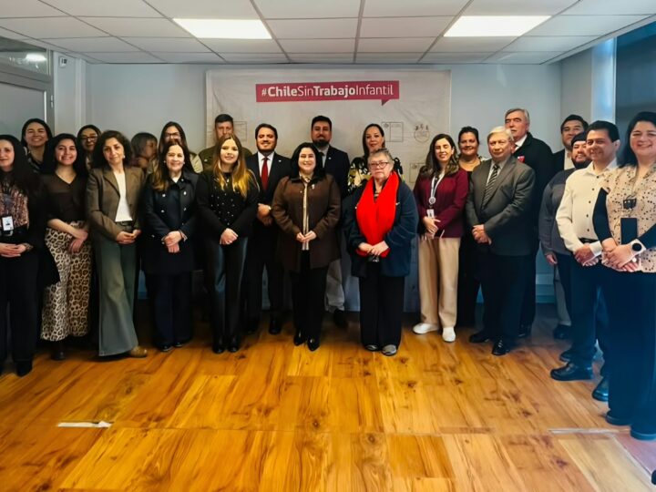 Comité Regional por la Erradicación del Trabajo Infantil avanza en elaborar una estrategia regional en Magallanes.