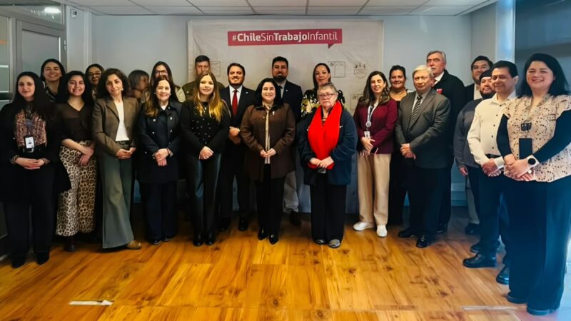 Comité Regional por la Erradicación del Trabajo Infantil avanza en elaborar una estrategia regional en Magallanes.