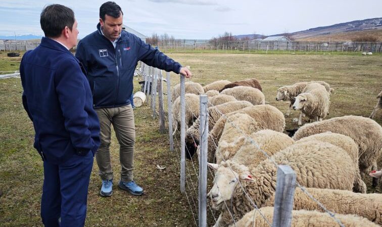 Director nacional de Agroseguros visita Magallanes para conocer en terreno la realidad de productores y fortalecer el acceso a seguros agropecuarios.