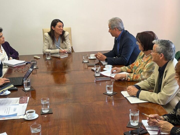 Colegio de Profesores advierte a Ministra de Educación de graves consecuencias por recortes en el Presupuesto 2027 en Educación.