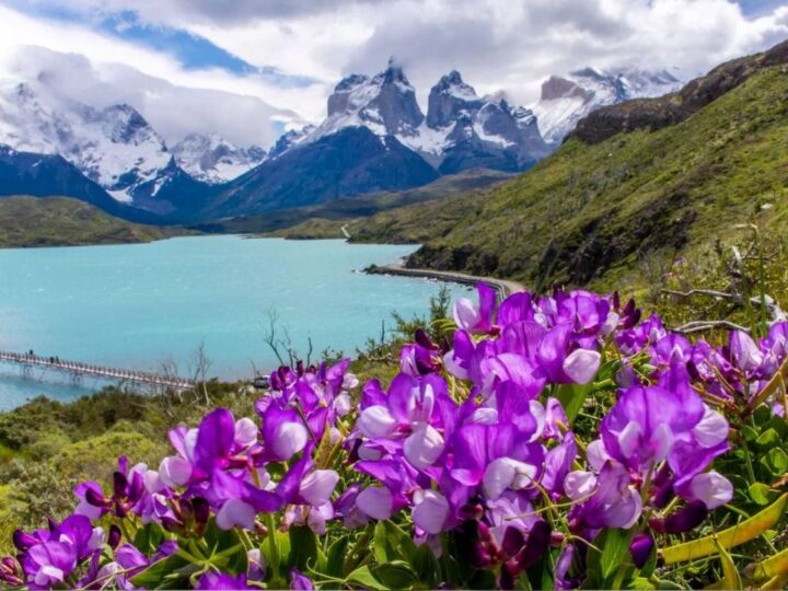 Descubriendo la «Octava Maravilla del Mundo»: Los atractivos imperdibles que consagran al Parque Nacional Torres del Paine.
