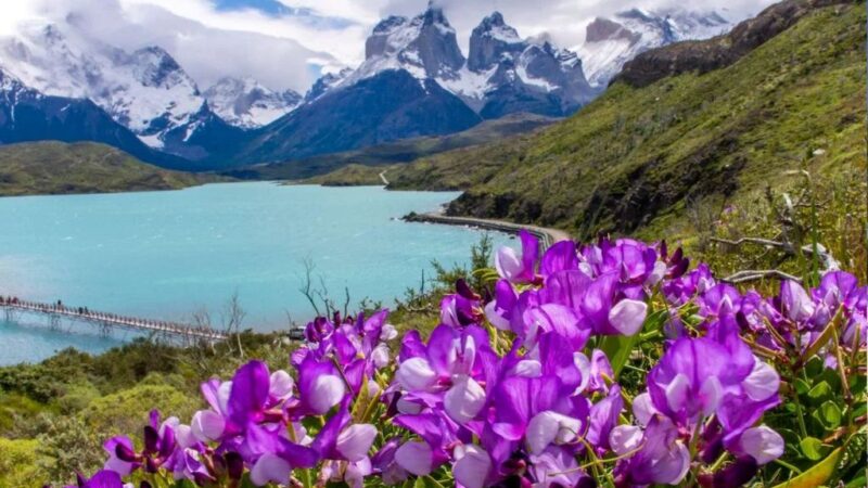 Descubriendo la «Octava Maravilla del Mundo»: Los atractivos imperdibles que consagran al Parque Nacional Torres del Paine.