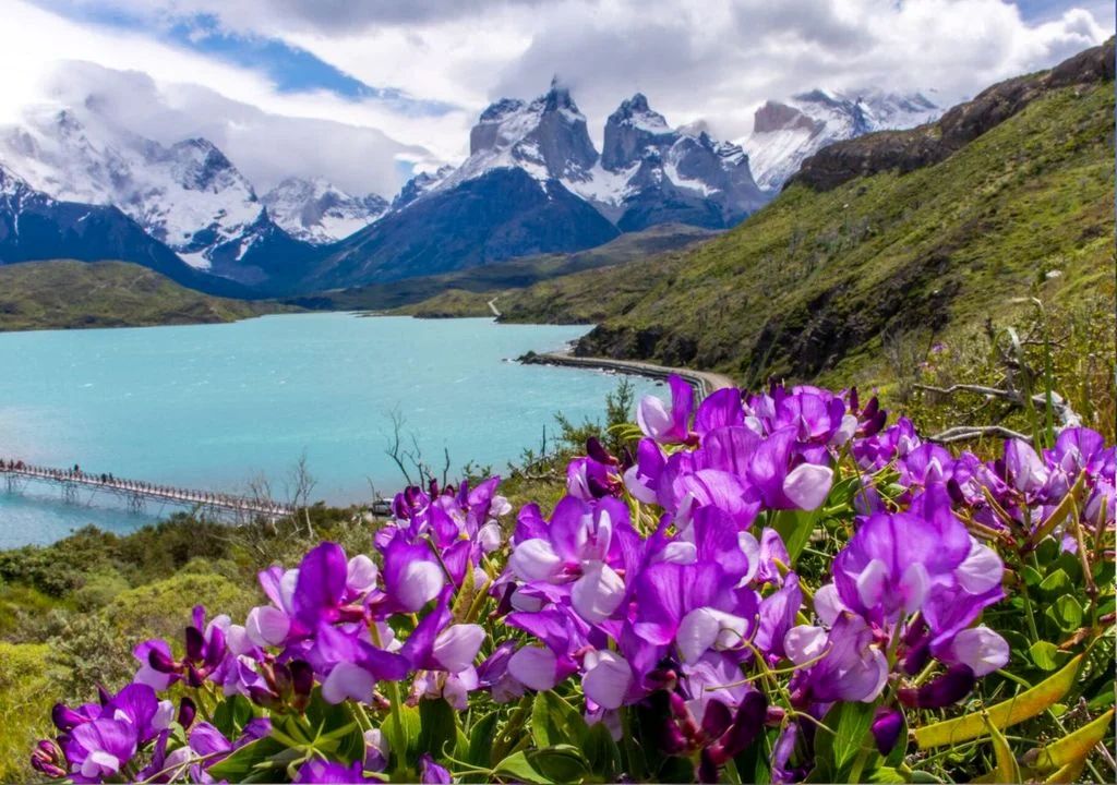 Descubriendo la «Octava Maravilla del Mundo»: Los atractivos imperdibles que consagran al Parque Nacional Torres del Paine.