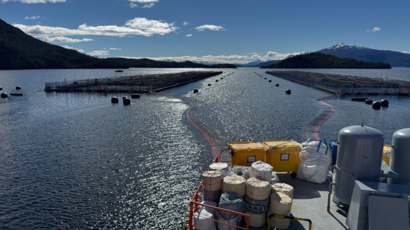 SERNAPESCA fiscaliza manejo y traslado de 642 toneladas de salmones muertos asociados a floración algal en centros de cultivo de Magallanes.