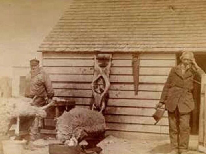 Los orígenes históricos del comercio entre Port Stanley y Punta Arenas en el siglo XIX | Manuel Luis Rodríguez | Historia y Memoria