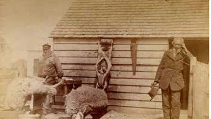 Los orígenes históricos del comercio entre Port Stanley y Punta Arenas en el siglo XIX | Manuel Luis Rodríguez | Historia y Memoria
