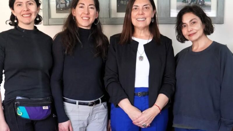 Municipio de Torres del Paine impulsa proyecto «Patagonia Invisible» para estudiantes de Cerro Castillo, con la participación de la actriz Tamara Acosta.